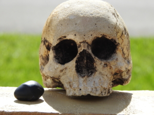 skull death