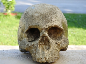 skull death skull golden skull symbol golden death gold head dead skeleton