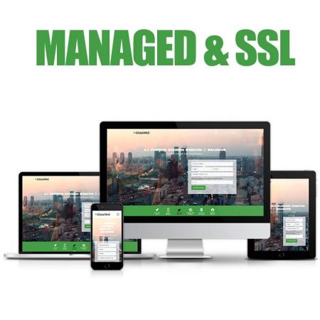 Managed & SSL Hosting - E-Commerce